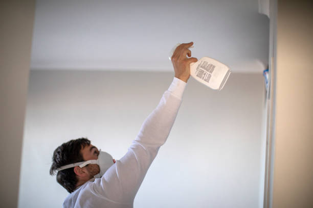 Best Emergency Mold Remediation in Bridgeport, AL